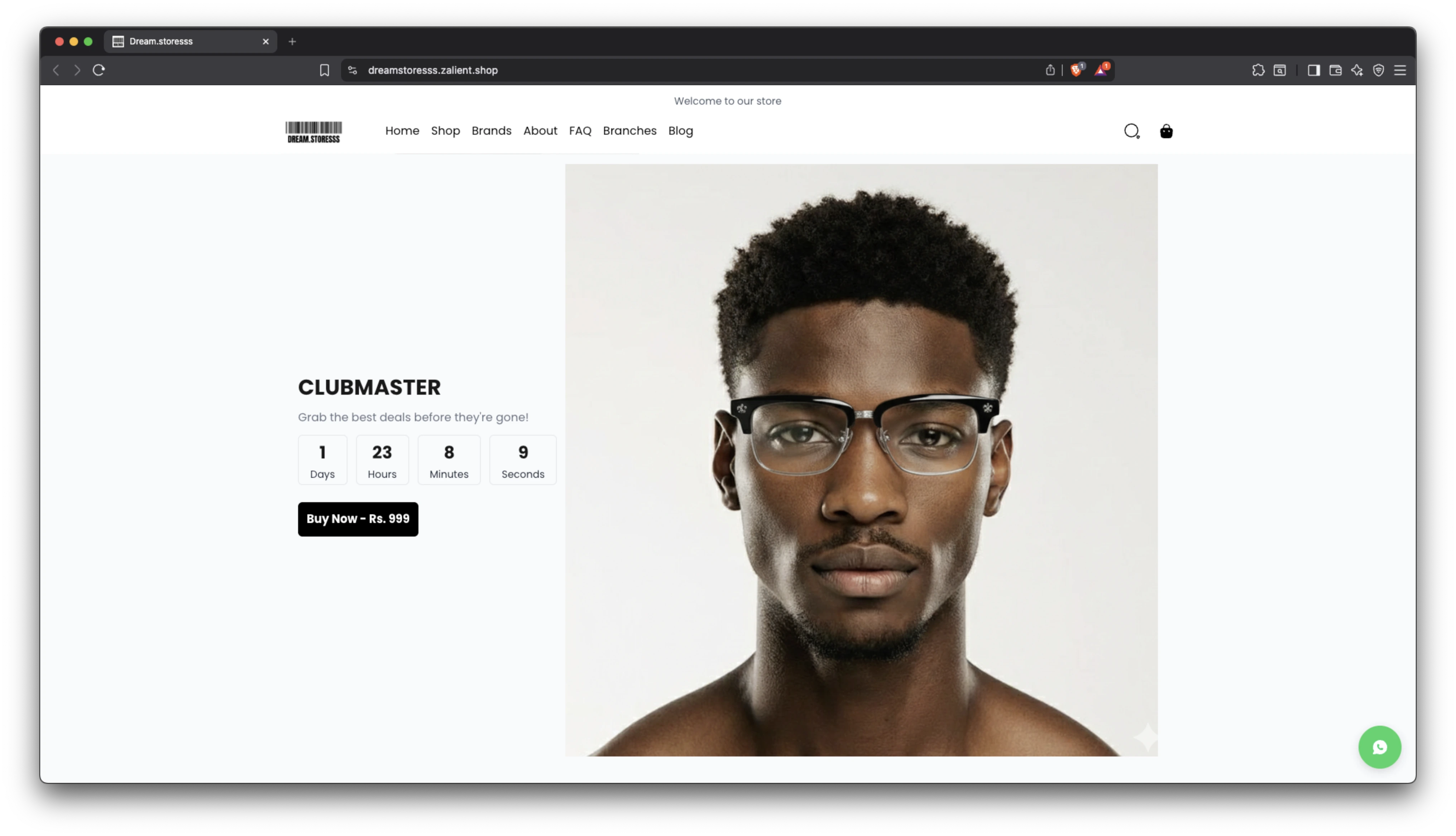 Dream Store storefront built with Zalient